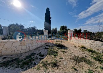 IMG-20241112-WA0023_risultato.png - Casa indipendente Ostuni - foto 21