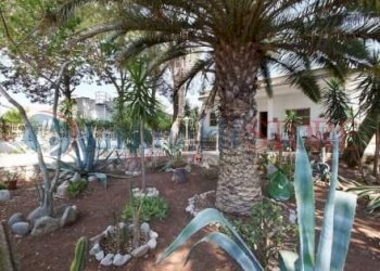 WhatsApp Image 2025-03-21 at 11.33.35_result.jpg - Villa Manduria - foto 12