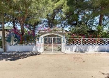 WhatsApp Image 2025-03-21 at 11.33.32_result.jpg - Villa Manduria - foto 15