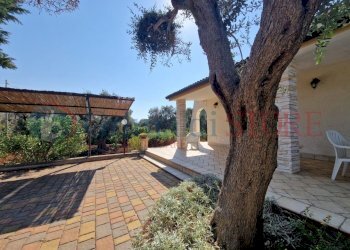 p (14)_result.jpg - Villa San Vito dei Normanni - photo 27