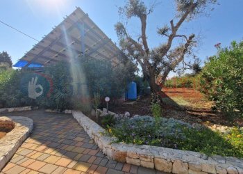 p (2)_result.jpg - Villa San Vito dei Normanni - photo 29