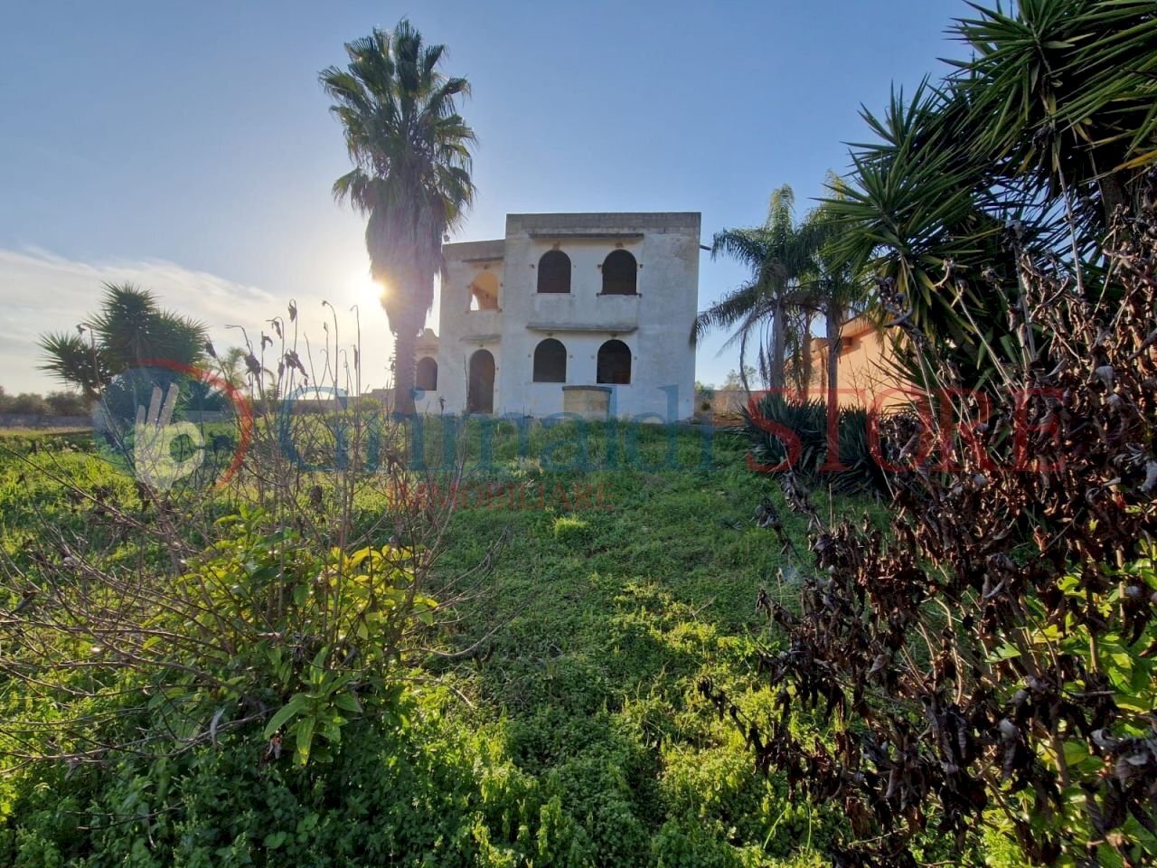 WhatsApp Image 2025-03-12 at 18.42.49 (2)_result.j - Casa indipendente Oria - foto 3