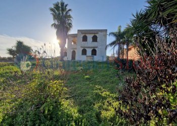 WhatsApp Image 2025-03-12 at 18.42.49 (2)_result.j - Independent house Oria - photo 3