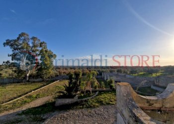 WhatsApp Image 2025-03-12 at 18.41.44_result.jpg - Independent house Oria - photo 8