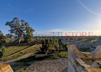 WhatsApp Image 2025-03-12 at 18.41.49_result.jpg - Independent house Oria - photo 9