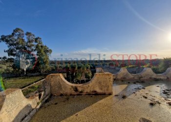 WhatsApp Image 2025-03-12 at 18.41.59_result.jpg - Independent house Oria - photo 10