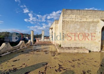 WhatsApp Image 2025-03-12 at 18.42.32_result.jpg - Independent house Oria - photo 13