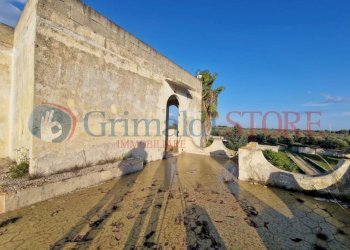 WhatsApp Image 2025-03-12 at 18.42.37_result.jpg - Independent house Oria - photo 16