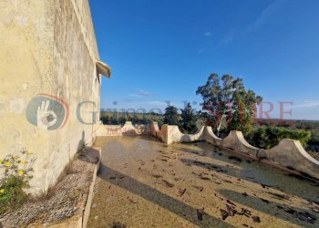 WhatsApp Image 2025-03-12 at 18.42.39_result.jpg - Independent house Oria - photo 20