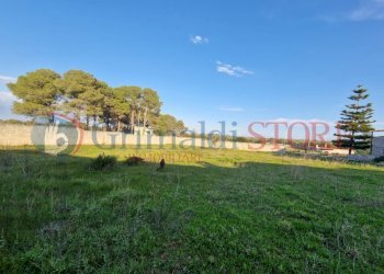 WhatsApp Image 2025-03-12 at 18.42.43 (3)_result.j - Independent house Oria - photo 29