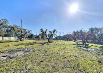 casa-rosiello_00004_9b76583_result.jpg - Casa indipendente Strada Statale 603, Francavilla Fontana - foto 7