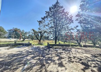 casa-rosiello_00008_0ef5c1a_result.jpg - Casa indipendente Strada Statale 603, Francavilla Fontana - foto 10