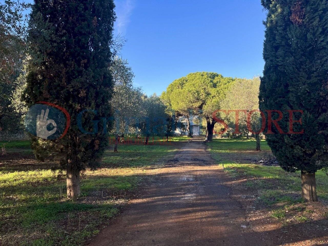 a (1)_result.jpg - Casale San Vito dei Normanni - photo 3