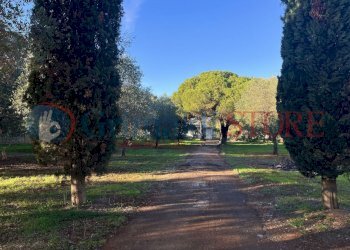 a (1)_result.jpg - Casale San Vito dei Normanni - photo 3