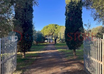 a (2)_result.jpg - Casale San Vito dei Normanni - photo 4