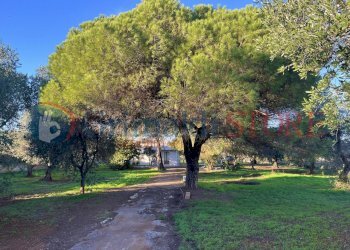 a (3)_result.jpg - Casale San Vito dei Normanni - photo 5