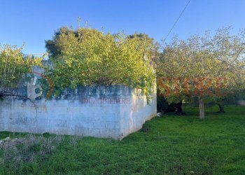 a (11)_result.jpg - Casale San Vito dei Normanni - photo 12