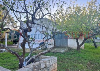 a (12)_result.jpg - Casale San Vito dei Normanni - photo 13