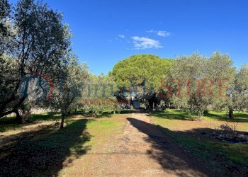 a (15)_result.jpg - Casale San Vito dei Normanni - photo 16