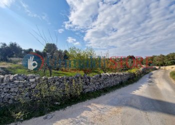 IMG-20241112-WA0005_risultato.png - Casa indipendente Ostuni - foto 4