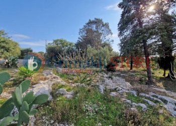 IMG-20241112-WA0008_risultato.png - Casa indipendente Ostuni - foto 7