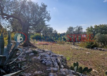 IMG-20241112-WA0014_risultato.png - Casa indipendente Ostuni - foto 13