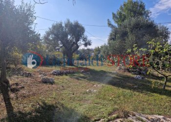 IMG-20241112-WA0015_risultato.png - Casa indipendente Ostuni - foto 14