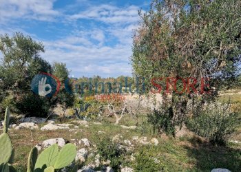 IMG-20241112-WA0016_risultato.png - Casa indipendente Ostuni - foto 15