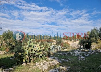 IMG-20241112-WA0017_risultato.png - Casa indipendente Ostuni - foto 16