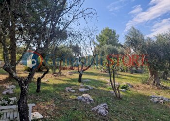 IMG-20241112-WA0018_risultato.png - Casa indipendente Ostuni - foto 17