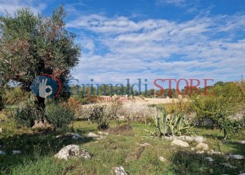 IMG-20241112-WA0022_risultato.png - Casa indipendente Ostuni - foto 21