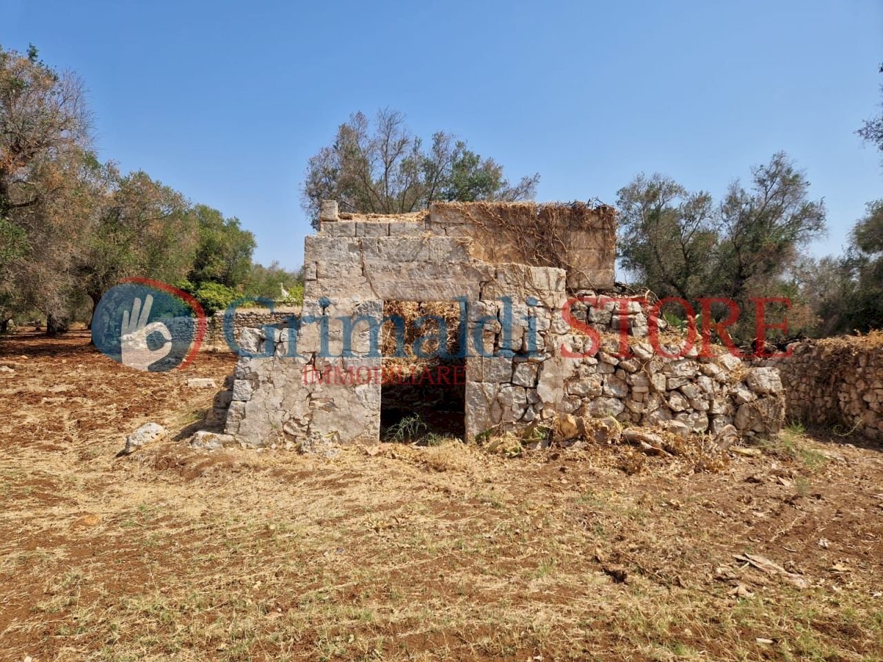 WhatsApp Image 2024-08-08 at 12.21.06_risultato.jp - Independent house San Vito dei Normanni - photo 2