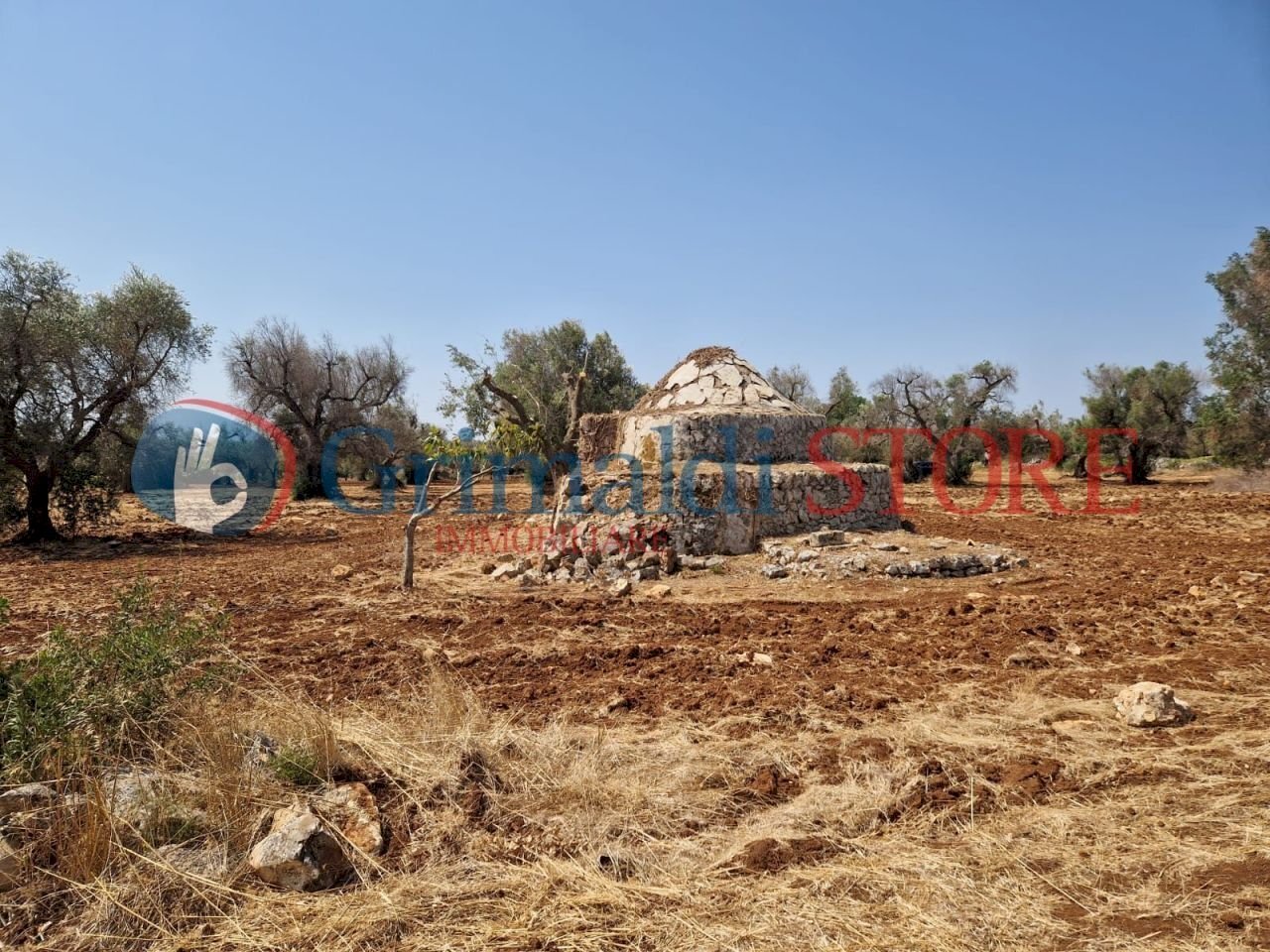 WhatsApp Image 2024-08-08 at 12.21.22_risultato.jp - Independent house San Vito dei Normanni - photo 3