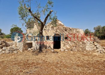 WhatsApp Image 2024-08-08 at 12.21.27_risultato.jp - Independent house San Vito dei Normanni - photo 1