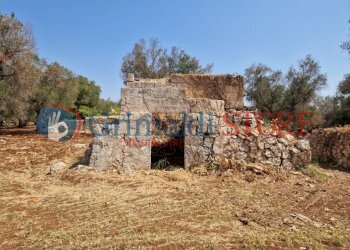 WhatsApp Image 2024-08-08 at 12.21.06_risultato.jp - Independent house San Vito dei Normanni - photo 2