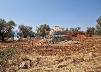 WhatsApp Image 2024-08-08 at 12.21.22_risultato.jp - Independent house San Vito dei Normanni - photo 3