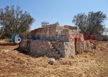 WhatsApp Image 2024-08-08 at 12.21.24_risultato.jp - Independent house San Vito dei Normanni - photo 4