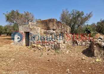 WhatsApp Image 2024-08-08 at 12.21.25_risultato.jp - Independent house San Vito dei Normanni - photo 5