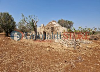 WhatsApp Image 2024-08-08 at 12.21.26_risultato.jp - Independent house San Vito dei Normanni - photo 6