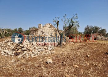 WhatsApp Image 2024-08-08 at 12.21.27 (1)_risultat - Independent house San Vito dei Normanni - photo 7