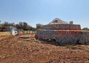 WhatsApp Image 2024-08-08 at 12.21.28_risultato.jp - Independent house San Vito dei Normanni - photo 8