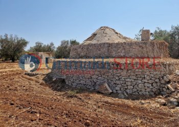 WhatsApp Image 2024-08-08 at 12.21.31_risultato.jp - Independent house San Vito dei Normanni - photo 9