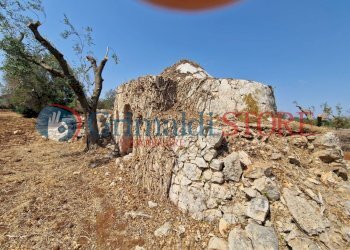 WhatsApp Image 2024-08-08 at 12.21.36_risultato.jp - Independent house San Vito dei Normanni - photo 13