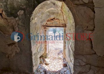 WhatsApp Image 2024-08-08 at 12.21.37_risultato.jp - Independent house San Vito dei Normanni - photo 14