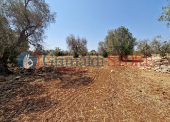 WhatsApp Image 2024-08-08 at 12.21.38 (1)_risultat - Independent house San Vito dei Normanni - photo 15