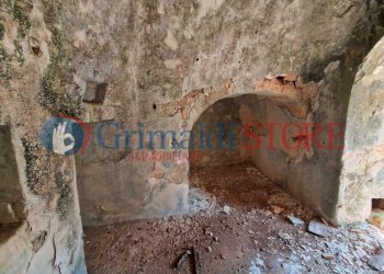 WhatsApp Image 2024-08-08 at 12.21.40_risultato.jp - Independent house San Vito dei Normanni - photo 18