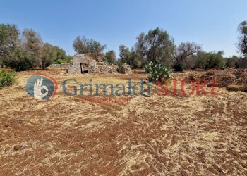 WhatsApp Image 2024-08-08 at 12.21.42 (1)_risultat - Independent house San Vito dei Normanni - photo 21