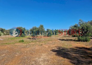 WhatsApp Image 2024-07-03 at 15.46.45_risultato.jp - Casa indipendente Porto Cesareo - foto 13