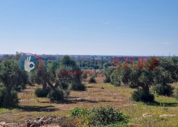 WhatsApp Image 2024-07-03 at 15.46.47 (1)_risultat - Casa indipendente Porto Cesareo - foto 14