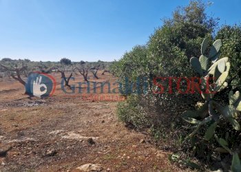 WhatsApp Image 2024-07-03 at 15.46.49 (2)_risultat - Casa indipendente Porto Cesareo - foto 23